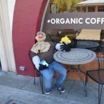 Cambria_0443 (November 01, 2013)